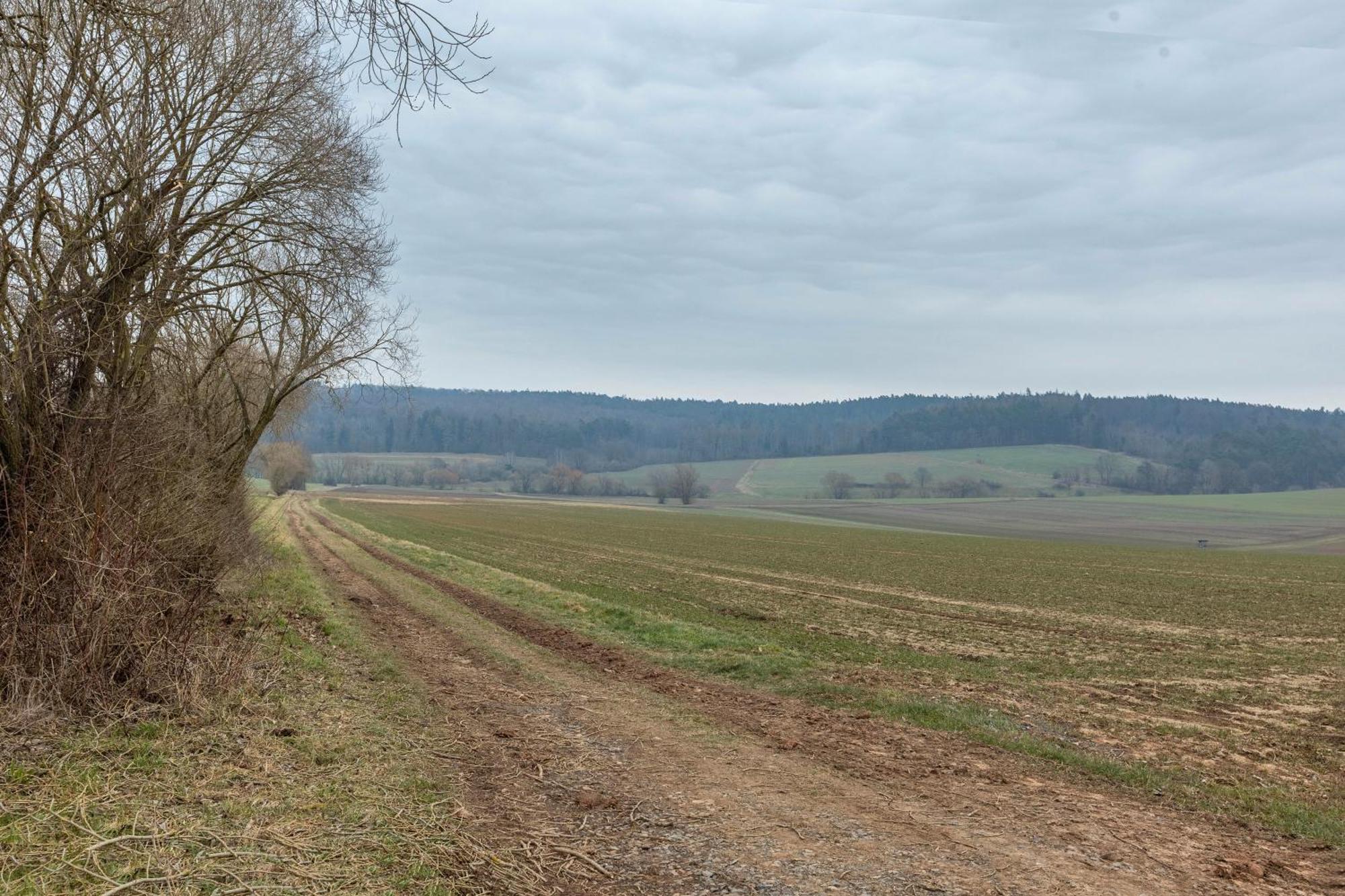 Mittendrin Jesberg Exterior photo